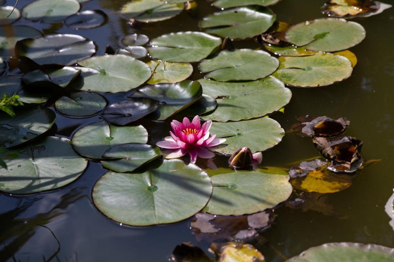La Varangue ラカノー エクステリア 写真